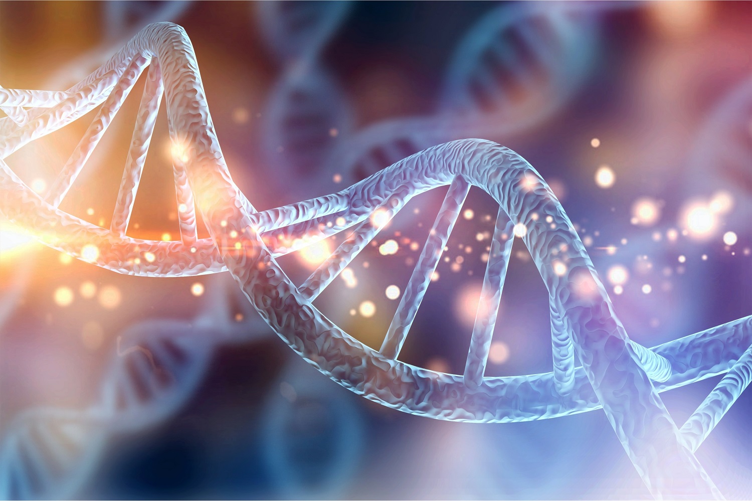 体質改善、遺伝子、卵子や精子の質